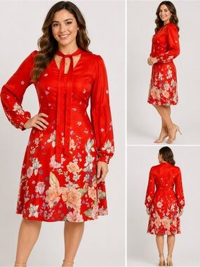 Anthropologie Moulinette Soeurs Red Floral Tie Neck Dress Size 2